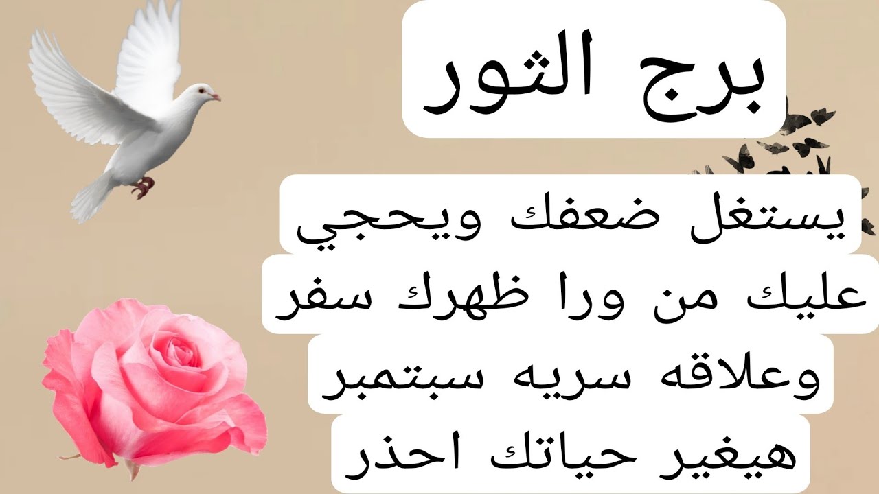 برج الثور لهذا اليوم💯عاجل يستغل ضعفك ويحجي عليك من ورا ظهرك سفر وعلاقه سريه سبتمبر هيغير حياتك احذر