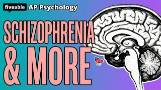 AP Psychology - Schizophrenia & Personality Disorders