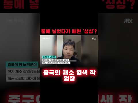 통에 넣었다가 빼면 '싱싱'?…중국의 채소 염색 작업장
