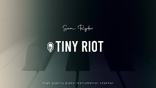 Sam Ryder - Tiny Riot (Acoustic Piano Inst.)