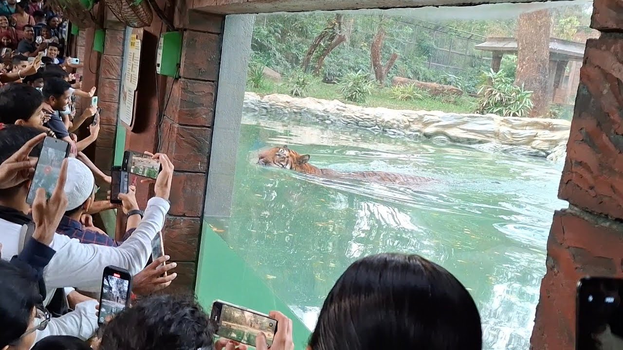 Exploring Rani Baug Mumbai / Byculla Zoo Vlog 2025