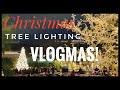 🎄New🎄2023 Vlogmas! 🎄Christmas Home Decor 🎄Christmas Tree Lighting 🎄
