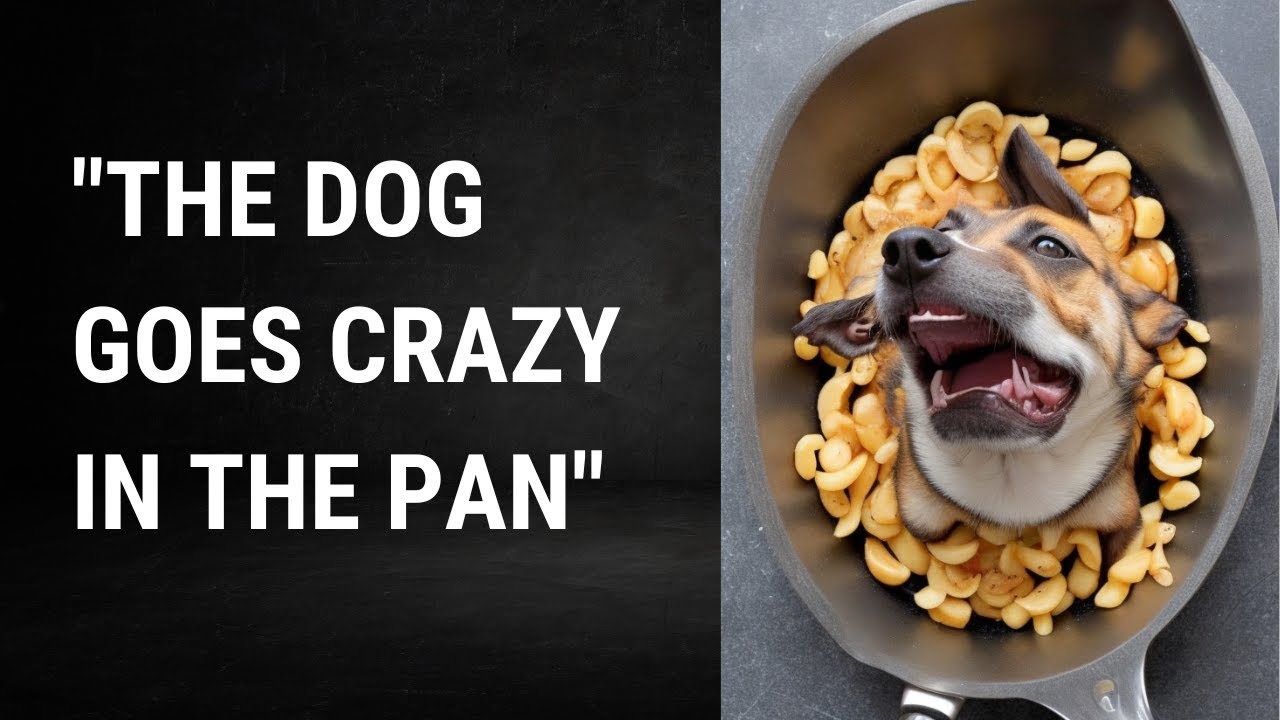 SHOCKING German Idioms: Translated to English!