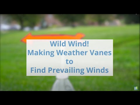 Wild Wind! Making Weather Vanes to Find Prevailing Winds