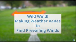 Wild Wind! Making Weather Vanes to Find Prevailing Winds