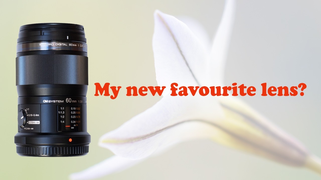 新品未使用　OM SYSTEM 60mm F2.8 Macro My new favourite lens? The Olympus/OM System 60mm f/2.8 macro lens