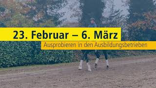 Verden Auction High Level - March, 8th - Trailer
