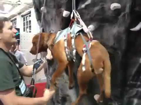 DoubleBack Climbing Harness in Action at Outdoor Retailer [ www.scruffmacduff.co.uk ]
