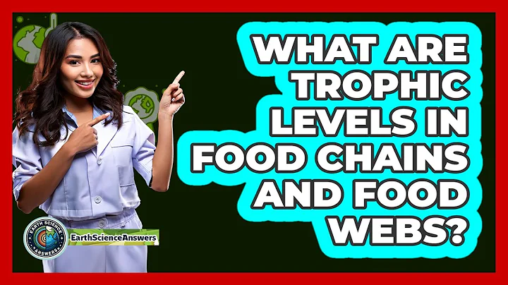 What Are Trophic Levels In Food Chains And Food Webs?