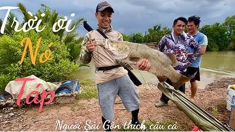 Cá chẻm bình đại.. ngày đi câu cá bống đục mà cá chẻm phá mồi quá sá @người Sài Gòn thích câu cá 