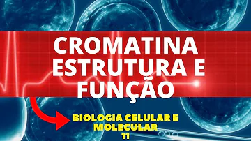 O que é a cromatina e como ela pode ser classificada?