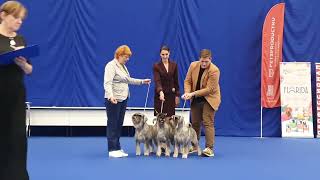 видео: 02.09.2023, СПб.  картинка: 02.09.2023, СПб.