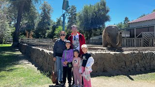 Almaty zoo. Алматыда қайда баруға болады