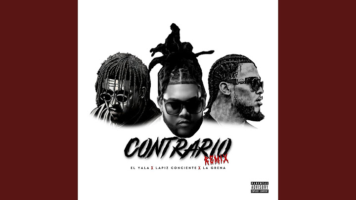 Contrario (Remix)
