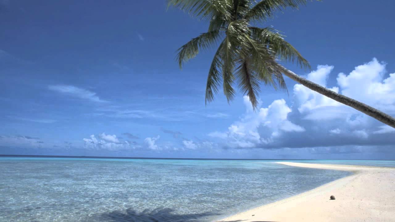 Dynamic Voy A La Playa Para El Sol Wallpaper for Your Screen Dynamic Voy A La Playa Para El Sol Wallpaper for Your Screen