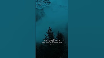Holy Quran - Surah Nuh - Sheikh Maher Al-Muaiqly - القران الكريم - سورة نوح - الشيخ ماهر المعيقلي