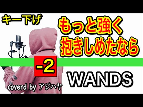 【キー下げ(-2)】もっと強く抱きしめたなら/WANDS(ワンズ)【低音男性キーで歌ってみた】(cover by アジハヤ)カラオケ