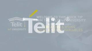 Telit deviceWISE: Creating and Using Local and Static Variables