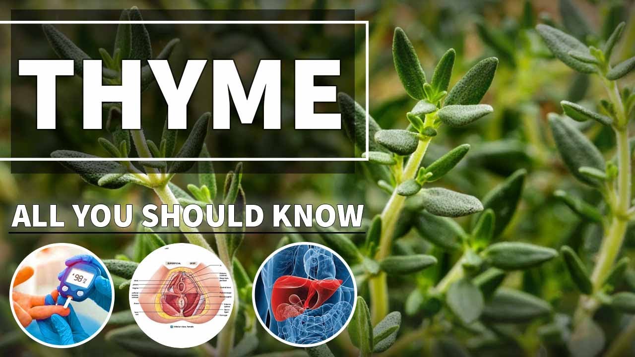 THYME Health BENEFITS 💚 100 Natural Plant Based Diet YouTube