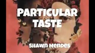 Shawn Mendes - Particular taste (lyrics video)