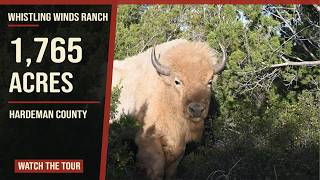 Whistling Winds Ranch – 1,765± Acres in Hardeman County, TX Game Ranch for Sale
