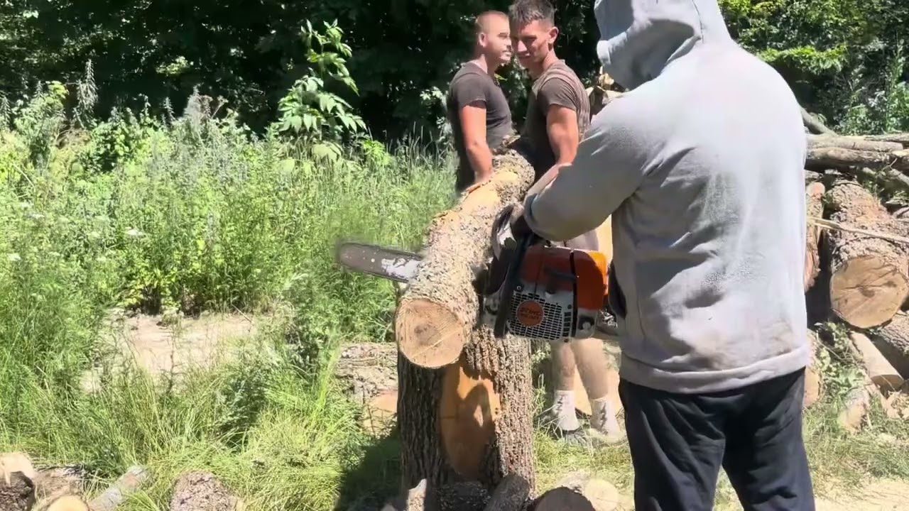 Cutting & Splitting Huge Logs — STIHL Style