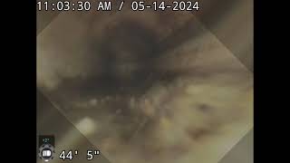 Muddy Moose Conway NH basement kitchen main to pump chamber sewer inspection