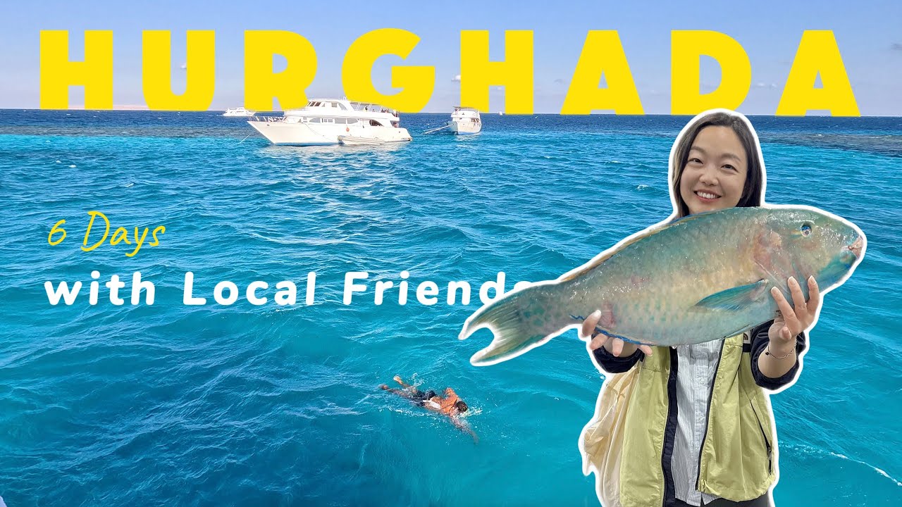 Solo Trip丨6 Days with Local Friends in Hurghada- Market, Food, Diving and Relaxation🇪🇬🎣🤿