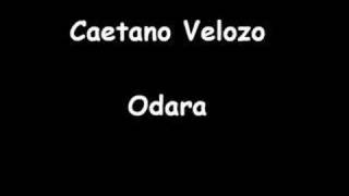 Caetano Velozo - Odara