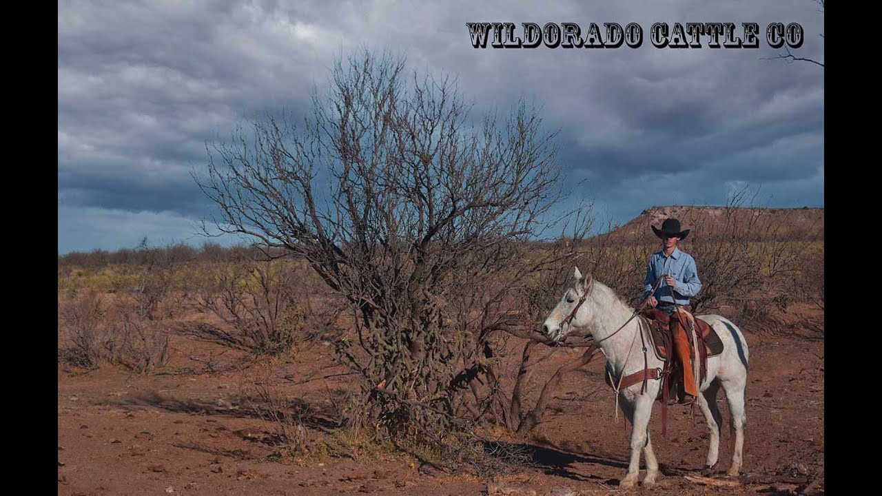 Explaining Palpation