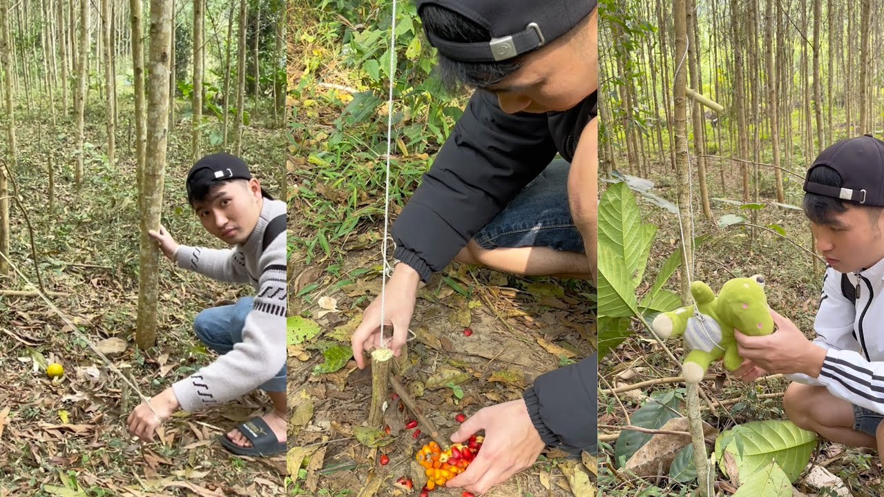 Top 10 most effective ways to make traps for hunting wild animals