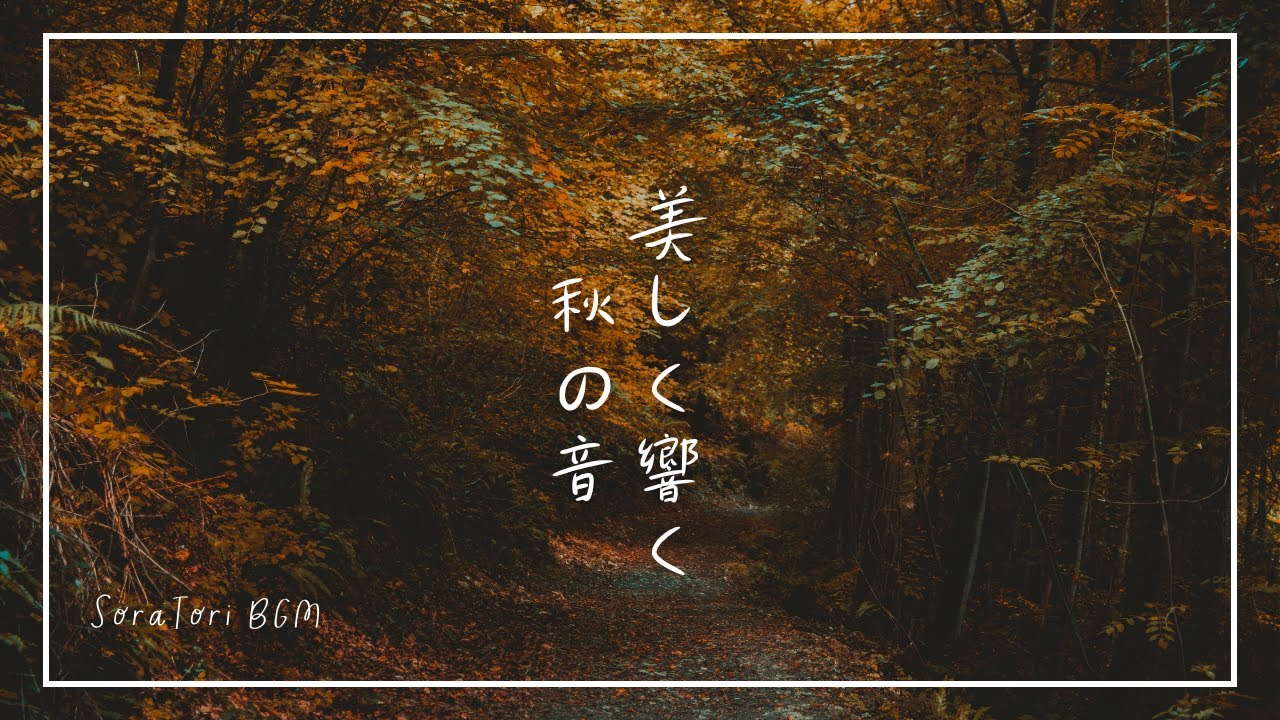 Autumn BGM】Healing Music Enveloped in Nostalgia and Transparency
