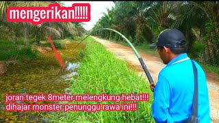 DAHSYAT NYA SAMBARAN GABUS INI.. JORAN TEGEK 8 METER SAMPAI MELENGKUNG HEBAT..