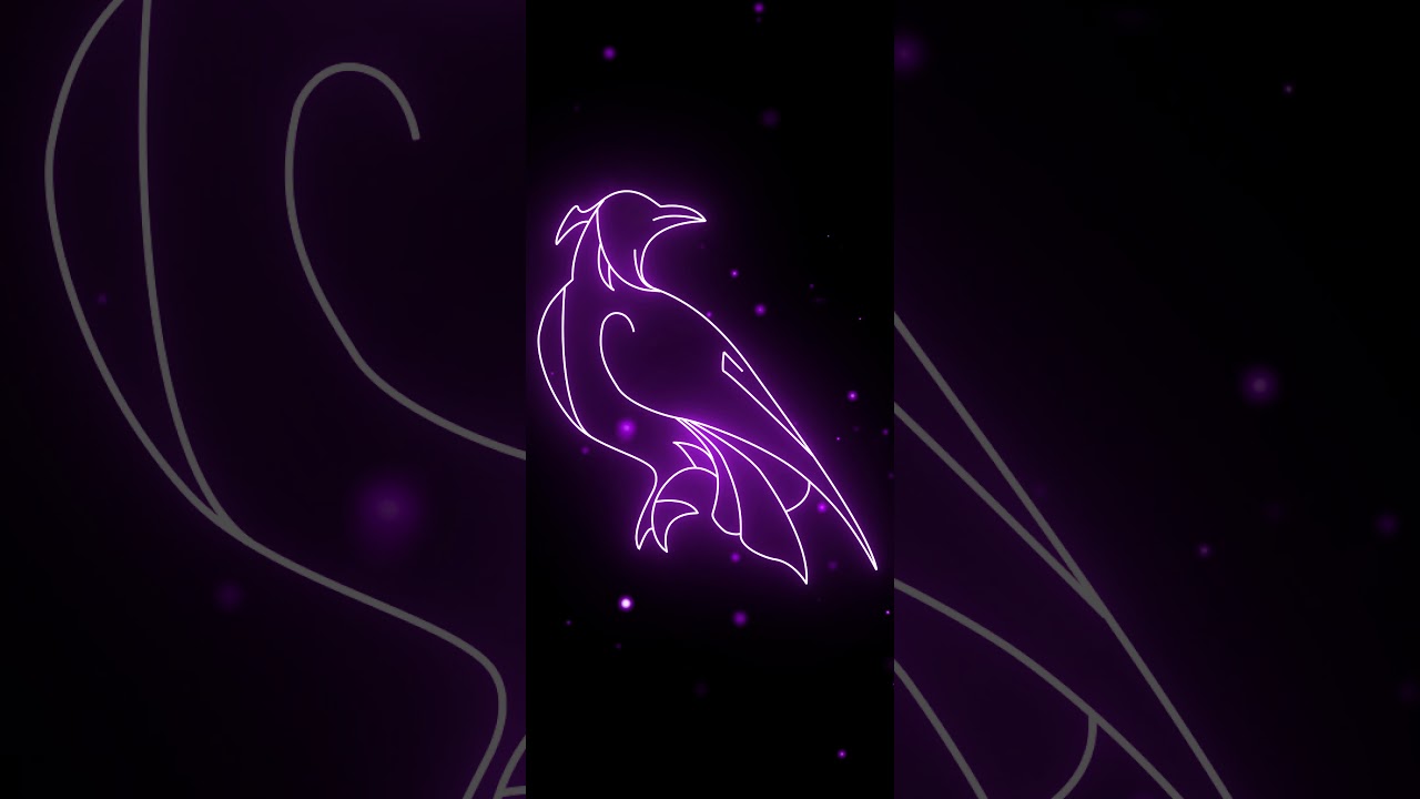 Live wallpaper (random) - YouTube