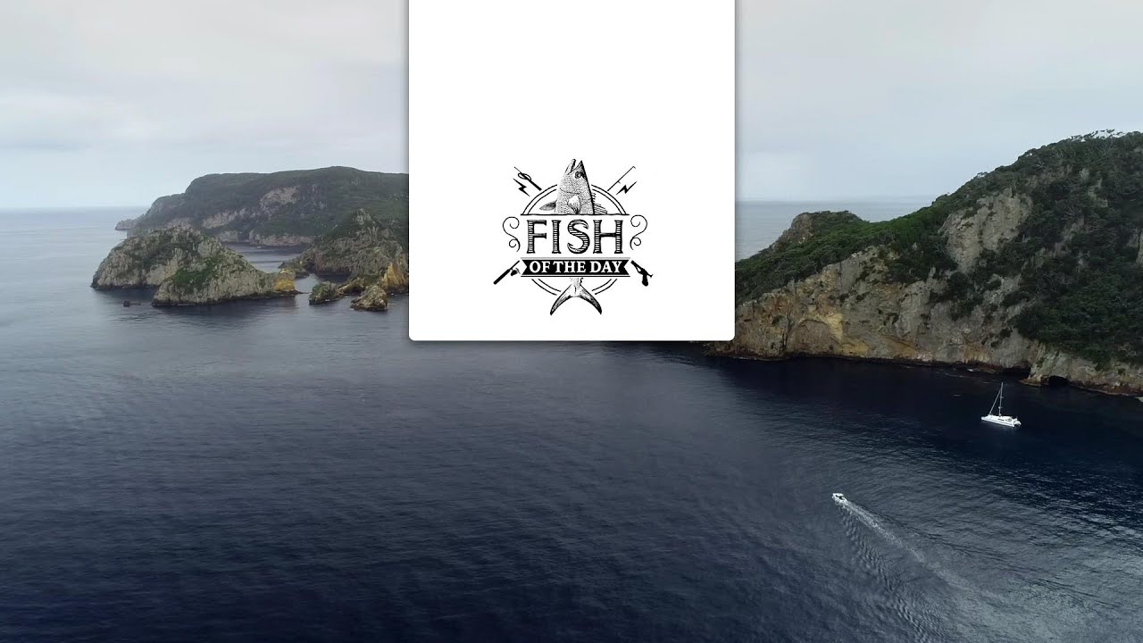 Fish of the Day Saison#2 Episode#7 - Une nouvelle visite des Poor Nights Islands en version 360 !
