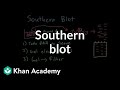 Understanding Southern Blot Technique