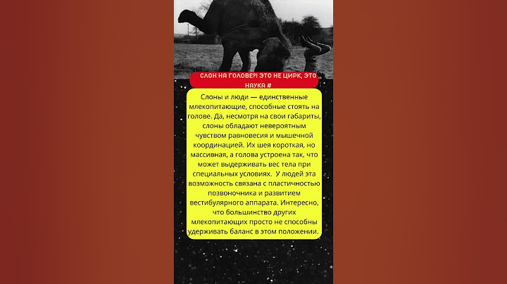 Слон или человек — кто лучше держит баланс? #интересно #биология  #слон  #человек