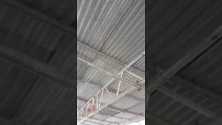 Details Rogue Builder Has Ruined Our Home News