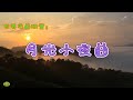 月光小夜曲 - 小提琴,世界名曲欣赏