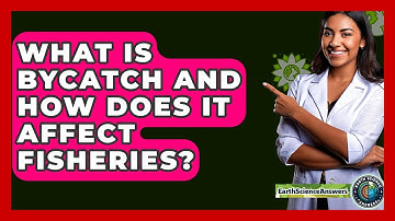 What Is Bycatch And How Does It Affect Fisheries? - Earth Science Answers