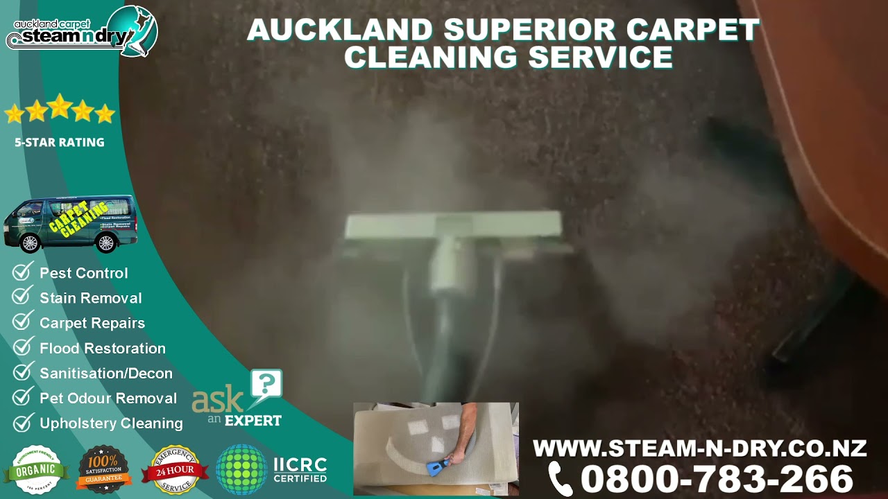 Expert Carpet Cleaning Auckland Steam n Dry Service 1987 YouTube