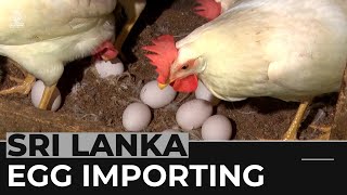 Sri Lankan food crisis: Eggs imported from India due to shortages