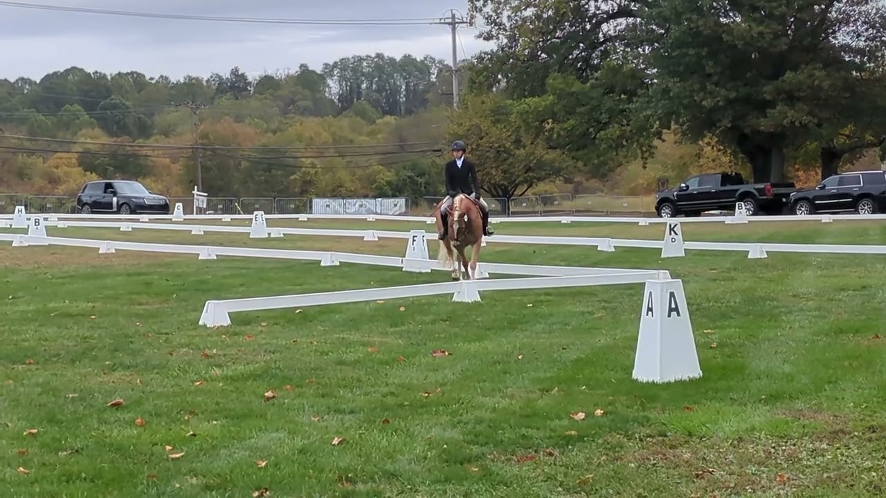Butterball Starter Test Radnor Hunt Horse Trials 