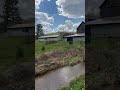 Beautiful rainy day 🌧️ #nature #oldbarn #rain #sunny #crazymothernature #youtubeshorts #subscribe