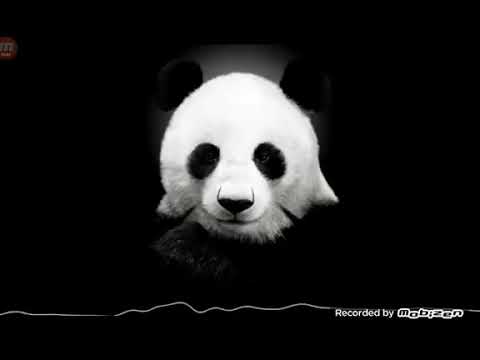 მაგარი მუსიკა