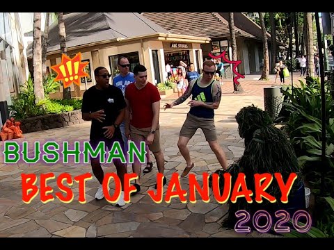 bushman-best-of-january-2020