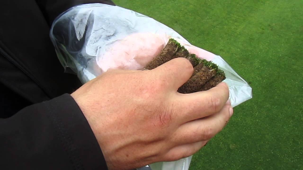 Haggs Castle TV - STRI visit to Haggs Castle Golf Club Video 2