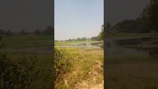 #bollywood #song #bollywoodsongs #hindisong #love #nature #sadabahaarnagme #indiansong #ajaydevgan