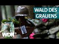 Die Schlacht im Hürtgenwald | Zweiter Weltkrieg | Doku | WDR