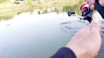 ♦️Điểm Câu Cá Lóc Thiên Nhiên🌟AE Tham Khảo